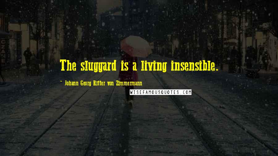 Johann Georg Ritter Von Zimmermann Quotes: The sluggard is a living insensible.