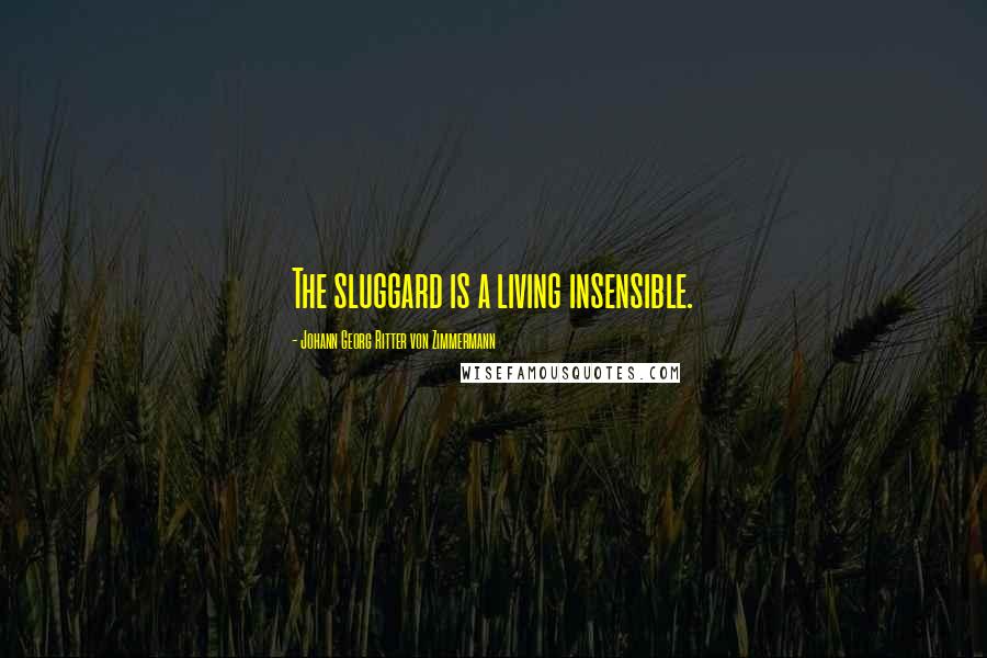 Johann Georg Ritter Von Zimmermann Quotes: The sluggard is a living insensible.