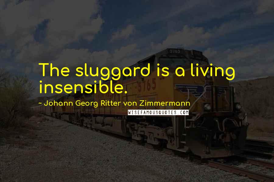 Johann Georg Ritter Von Zimmermann Quotes: The sluggard is a living insensible.