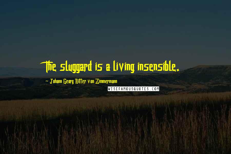 Johann Georg Ritter Von Zimmermann Quotes: The sluggard is a living insensible.