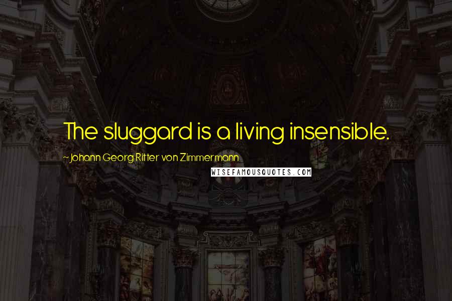 Johann Georg Ritter Von Zimmermann Quotes: The sluggard is a living insensible.