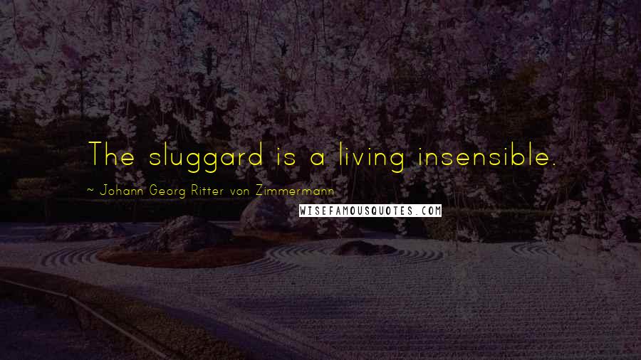 Johann Georg Ritter Von Zimmermann Quotes: The sluggard is a living insensible.