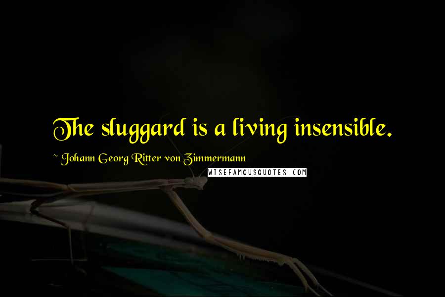 Johann Georg Ritter Von Zimmermann Quotes: The sluggard is a living insensible.