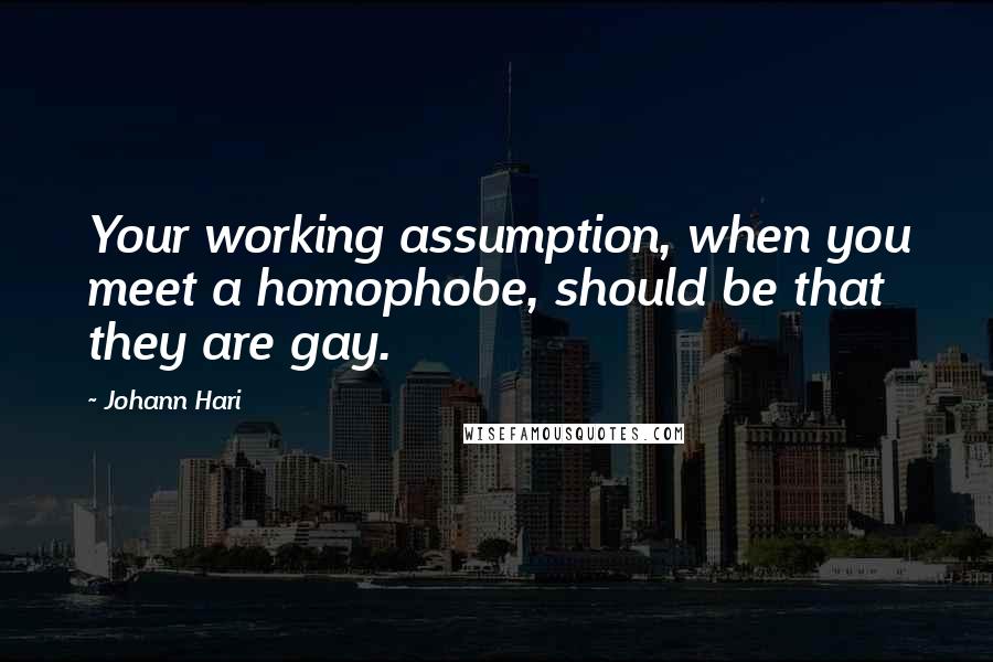 Johann Hari Quotes: Your working assumption, when you meet a homophobe, should be that they are gay.