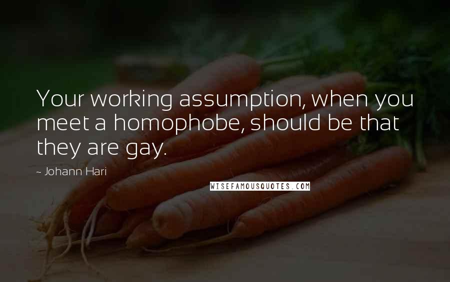 Johann Hari Quotes: Your working assumption, when you meet a homophobe, should be that they are gay.