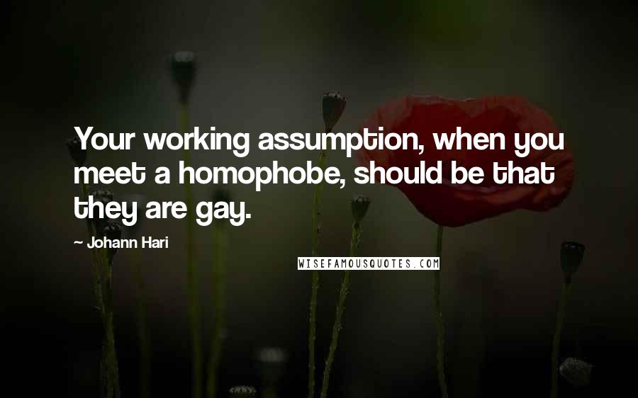 Johann Hari Quotes: Your working assumption, when you meet a homophobe, should be that they are gay.