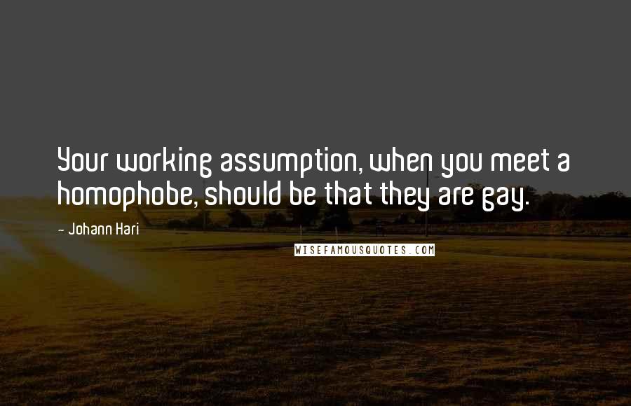 Johann Hari Quotes: Your working assumption, when you meet a homophobe, should be that they are gay.