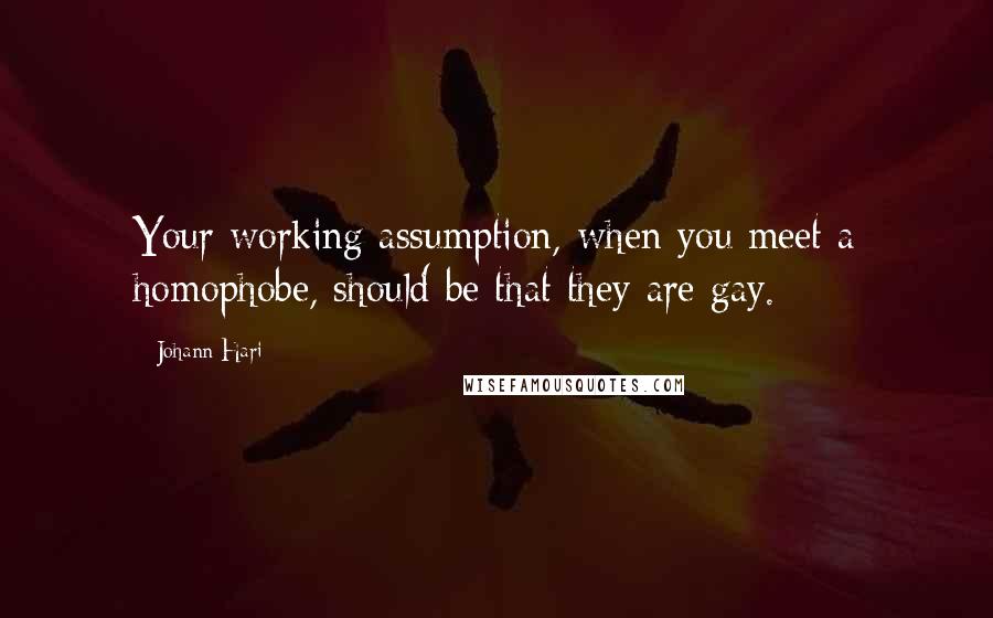 Johann Hari Quotes: Your working assumption, when you meet a homophobe, should be that they are gay.