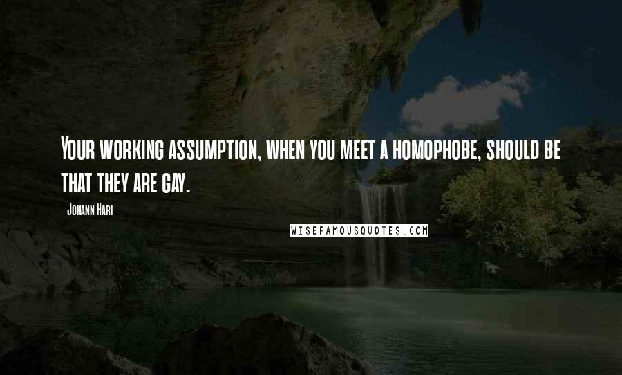 Johann Hari Quotes: Your working assumption, when you meet a homophobe, should be that they are gay.