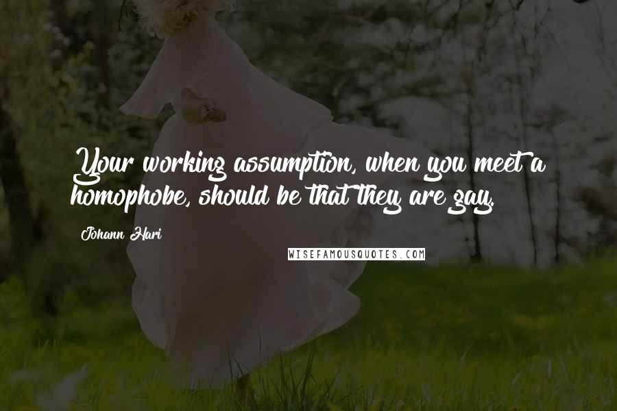 Johann Hari Quotes: Your working assumption, when you meet a homophobe, should be that they are gay.