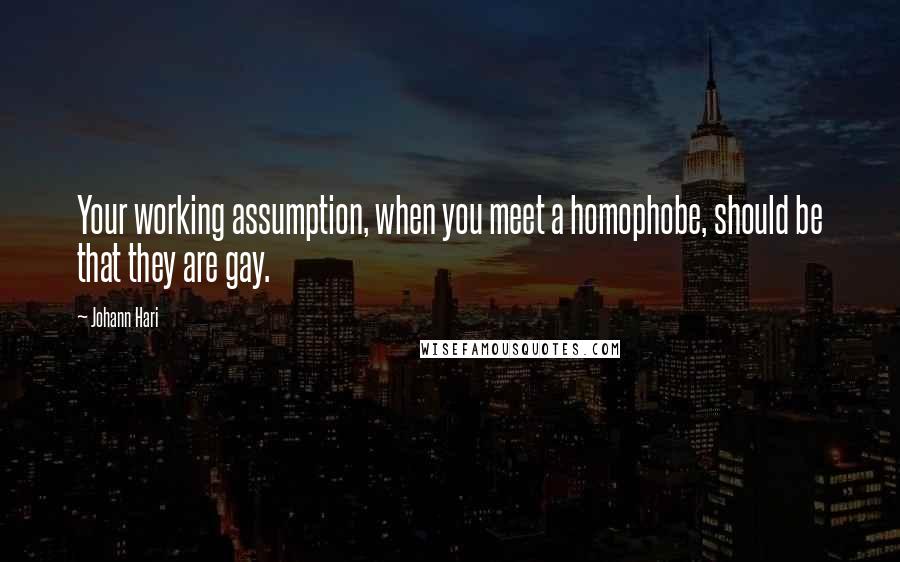 Johann Hari Quotes: Your working assumption, when you meet a homophobe, should be that they are gay.