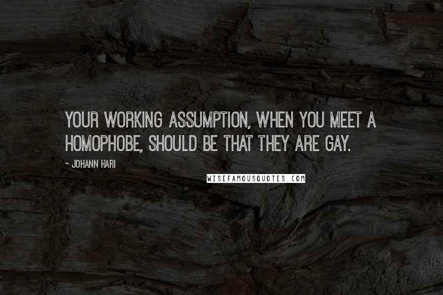 Johann Hari Quotes: Your working assumption, when you meet a homophobe, should be that they are gay.