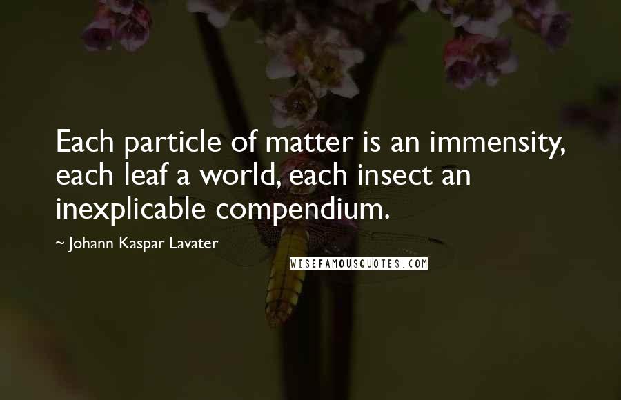 Johann Kaspar Lavater Quotes: Each particle of matter is an immensity, each leaf a world, each insect an inexplicable compendium.