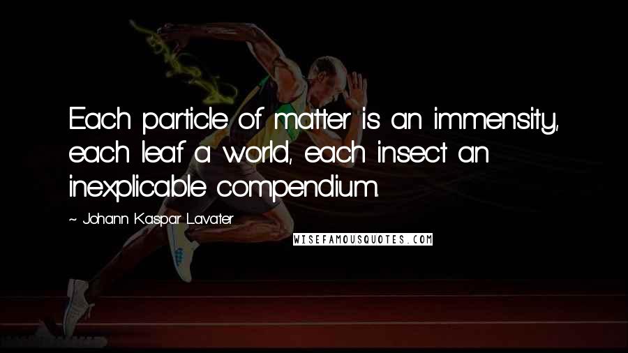 Johann Kaspar Lavater Quotes: Each particle of matter is an immensity, each leaf a world, each insect an inexplicable compendium.