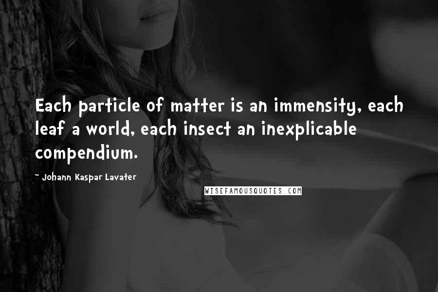 Johann Kaspar Lavater Quotes: Each particle of matter is an immensity, each leaf a world, each insect an inexplicable compendium.