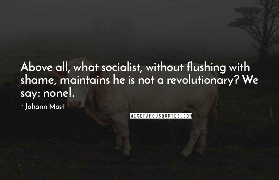 Johann Most Quotes: Above all, what socialist, without flushing with shame, maintains he is not a revolutionary? We say: none!.