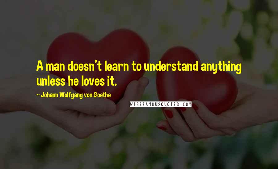 Johann Wolfgang Von Goethe Quotes: A man doesn't learn to understand anything unless he loves it.