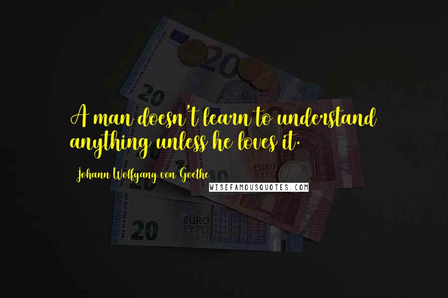 Johann Wolfgang Von Goethe Quotes: A man doesn't learn to understand anything unless he loves it.