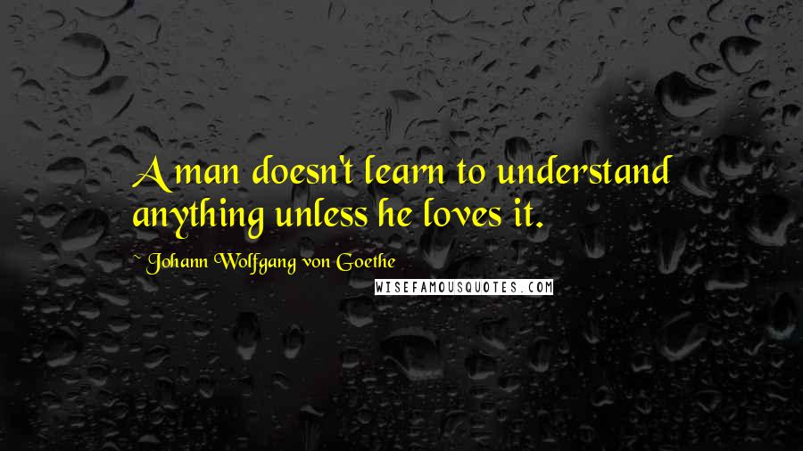 Johann Wolfgang Von Goethe Quotes: A man doesn't learn to understand anything unless he loves it.