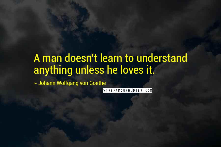 Johann Wolfgang Von Goethe Quotes: A man doesn't learn to understand anything unless he loves it.