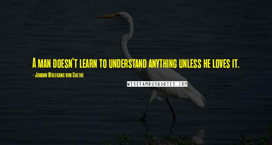 Johann Wolfgang Von Goethe Quotes: A man doesn't learn to understand anything unless he loves it.