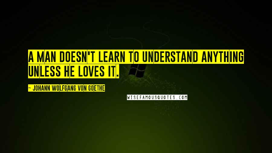 Johann Wolfgang Von Goethe Quotes: A man doesn't learn to understand anything unless he loves it.