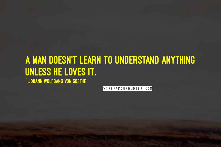 Johann Wolfgang Von Goethe Quotes: A man doesn't learn to understand anything unless he loves it.