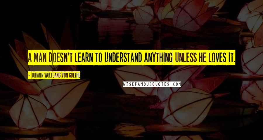 Johann Wolfgang Von Goethe Quotes: A man doesn't learn to understand anything unless he loves it.