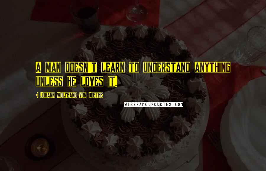 Johann Wolfgang Von Goethe Quotes: A man doesn't learn to understand anything unless he loves it.