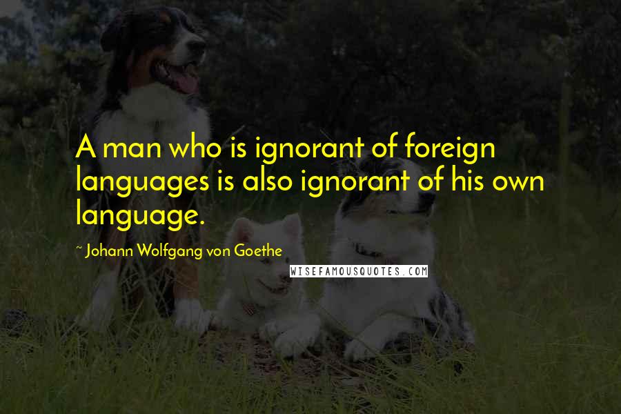 Johann Wolfgang Von Goethe Quotes: A man who is ignorant of foreign languages is also ignorant of his own language.