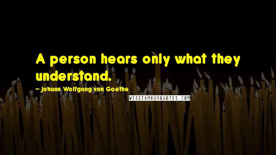 Johann Wolfgang Von Goethe Quotes: A person hears only what they understand.