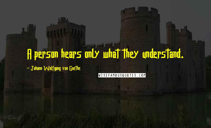 Johann Wolfgang Von Goethe Quotes: A person hears only what they understand.