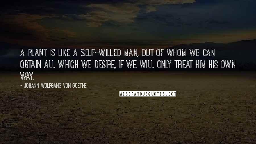 Johann Wolfgang Von Goethe Quotes: A plant is like a self-willed man, out of whom we can obtain all which we desire, if we will only treat him his own way.