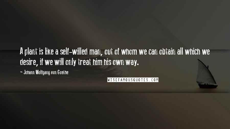 Johann Wolfgang Von Goethe Quotes: A plant is like a self-willed man, out of whom we can obtain all which we desire, if we will only treat him his own way.