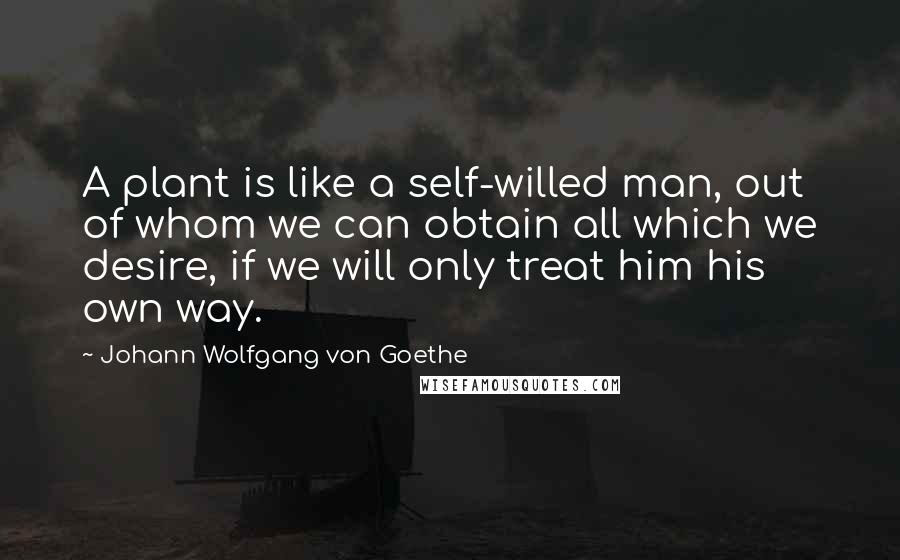 Johann Wolfgang Von Goethe Quotes: A plant is like a self-willed man, out of whom we can obtain all which we desire, if we will only treat him his own way.