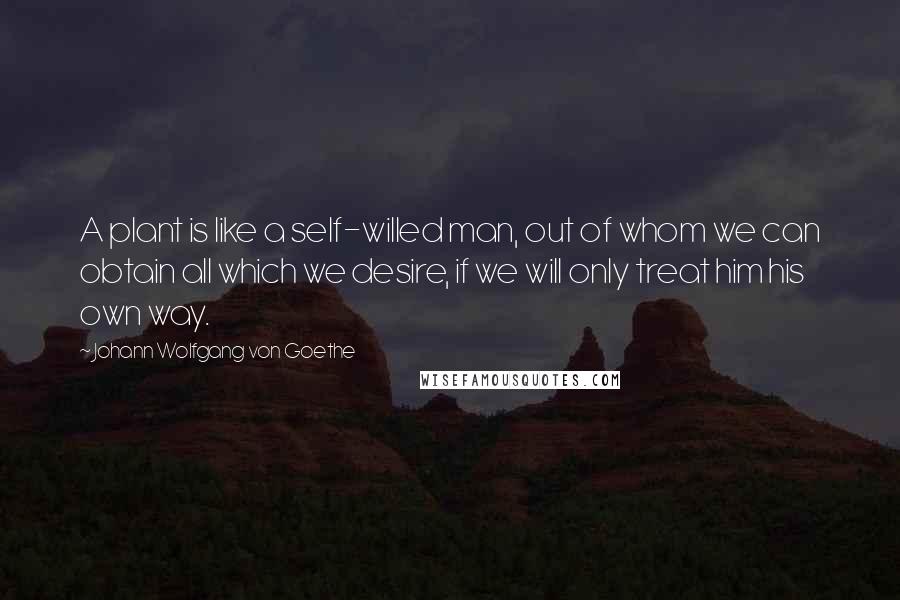 Johann Wolfgang Von Goethe Quotes: A plant is like a self-willed man, out of whom we can obtain all which we desire, if we will only treat him his own way.