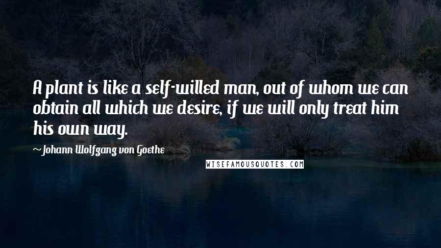 Johann Wolfgang Von Goethe Quotes: A plant is like a self-willed man, out of whom we can obtain all which we desire, if we will only treat him his own way.