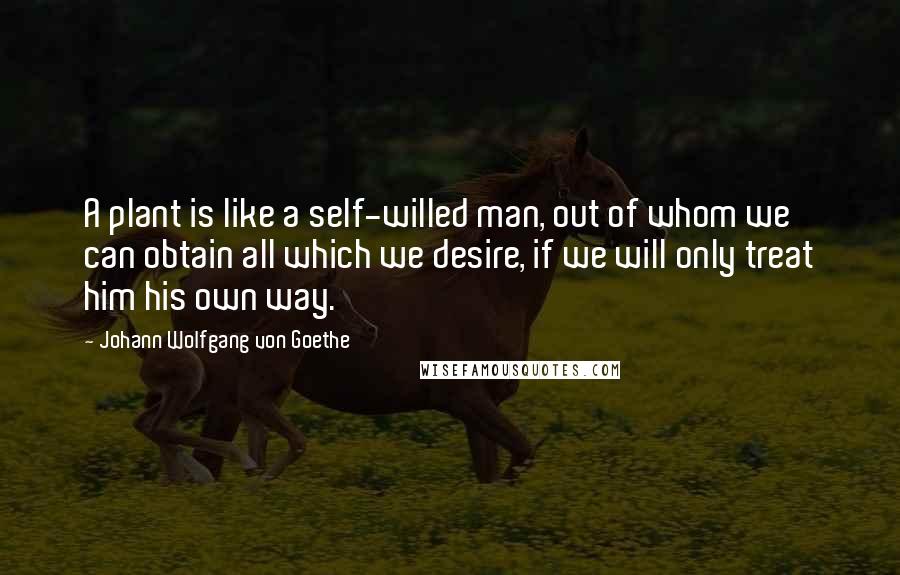 Johann Wolfgang Von Goethe Quotes: A plant is like a self-willed man, out of whom we can obtain all which we desire, if we will only treat him his own way.