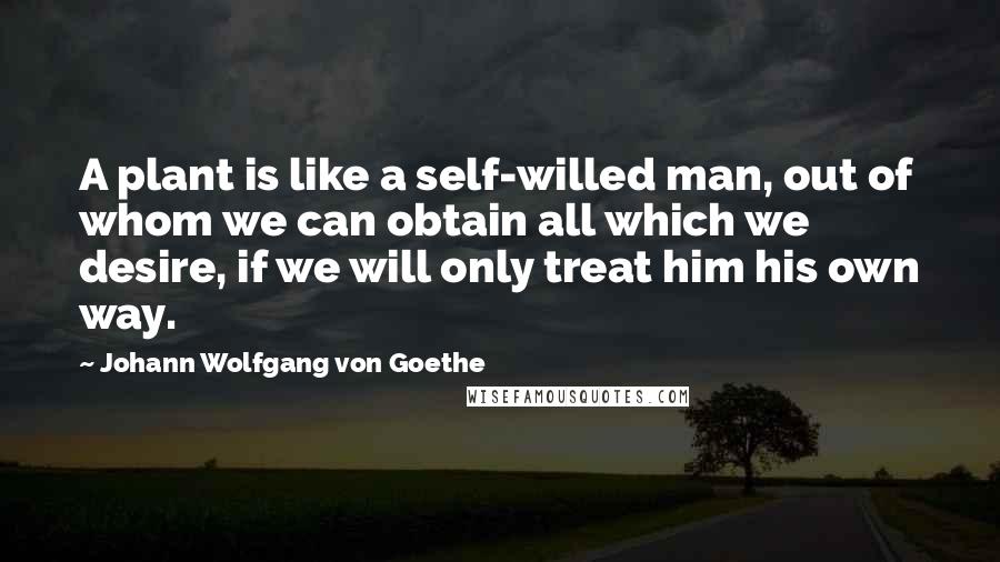 Johann Wolfgang Von Goethe Quotes: A plant is like a self-willed man, out of whom we can obtain all which we desire, if we will only treat him his own way.