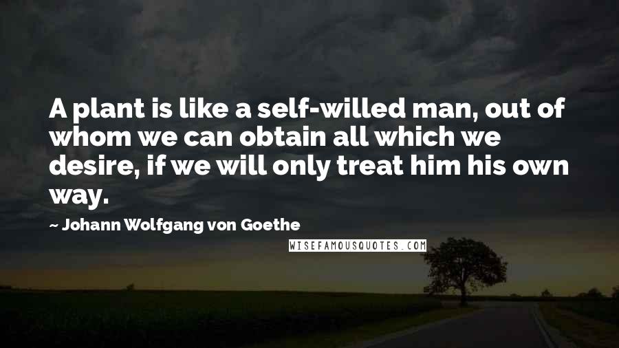 Johann Wolfgang Von Goethe Quotes: A plant is like a self-willed man, out of whom we can obtain all which we desire, if we will only treat him his own way.