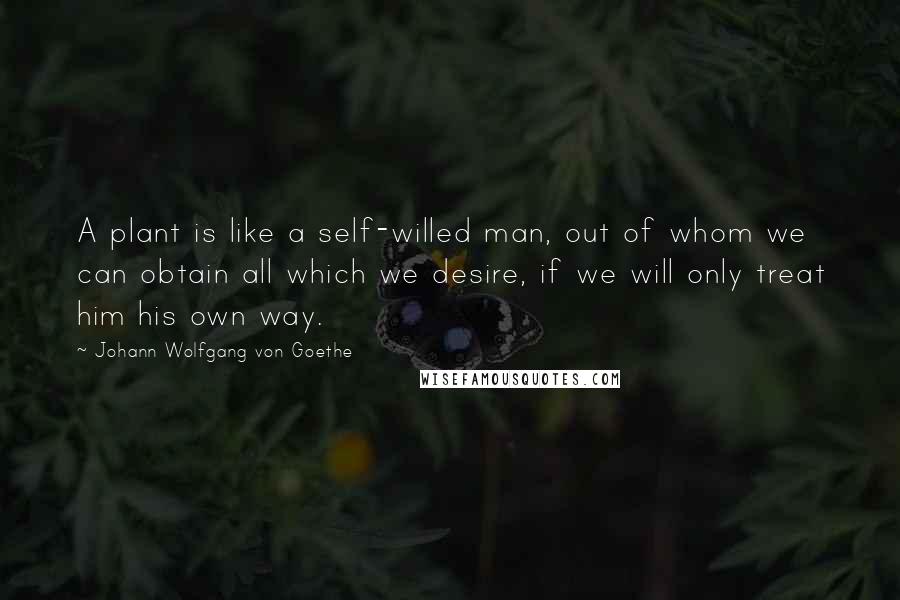 Johann Wolfgang Von Goethe Quotes: A plant is like a self-willed man, out of whom we can obtain all which we desire, if we will only treat him his own way.