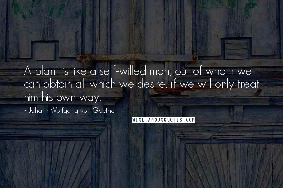 Johann Wolfgang Von Goethe Quotes: A plant is like a self-willed man, out of whom we can obtain all which we desire, if we will only treat him his own way.