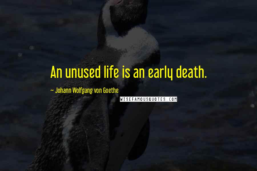 Johann Wolfgang Von Goethe Quotes: An unused life is an early death.