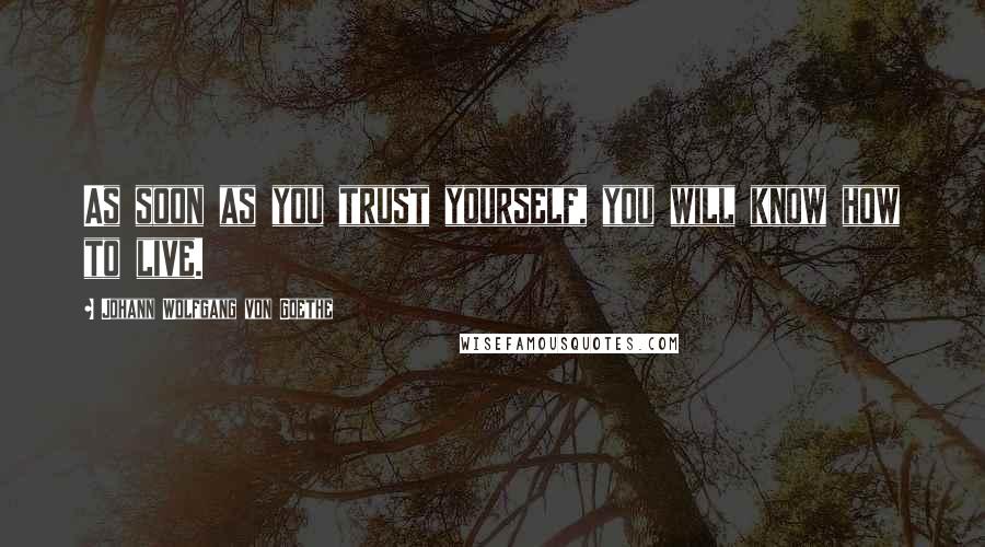 Johann Wolfgang Von Goethe Quotes: As soon as you trust yourself, you will know how to live.