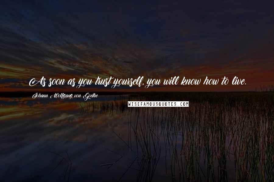 Johann Wolfgang Von Goethe Quotes: As soon as you trust yourself, you will know how to live.