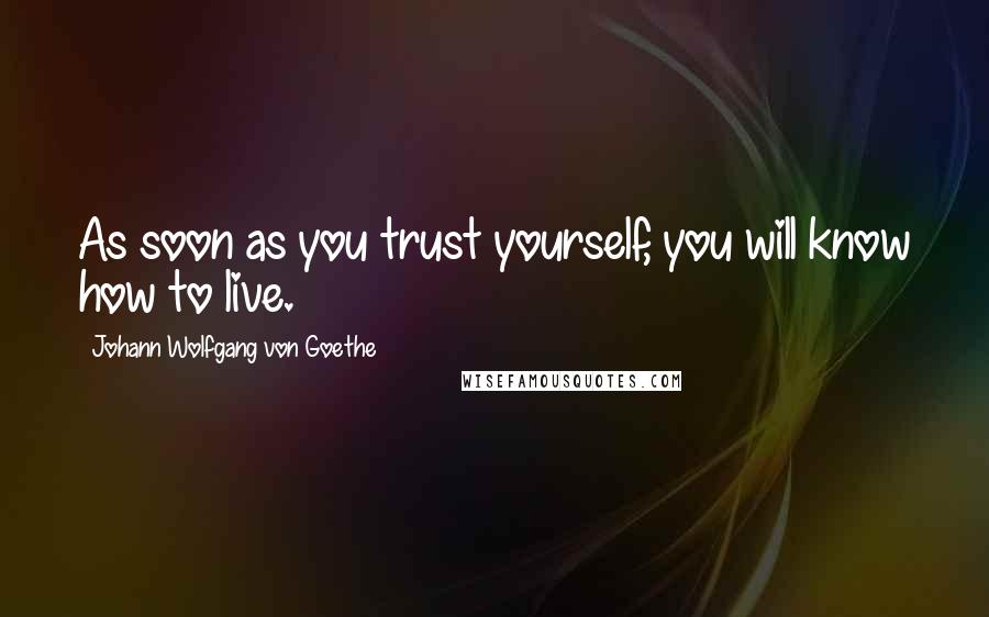 Johann Wolfgang Von Goethe Quotes: As soon as you trust yourself, you will know how to live.