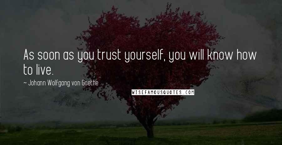 Johann Wolfgang Von Goethe Quotes: As soon as you trust yourself, you will know how to live.