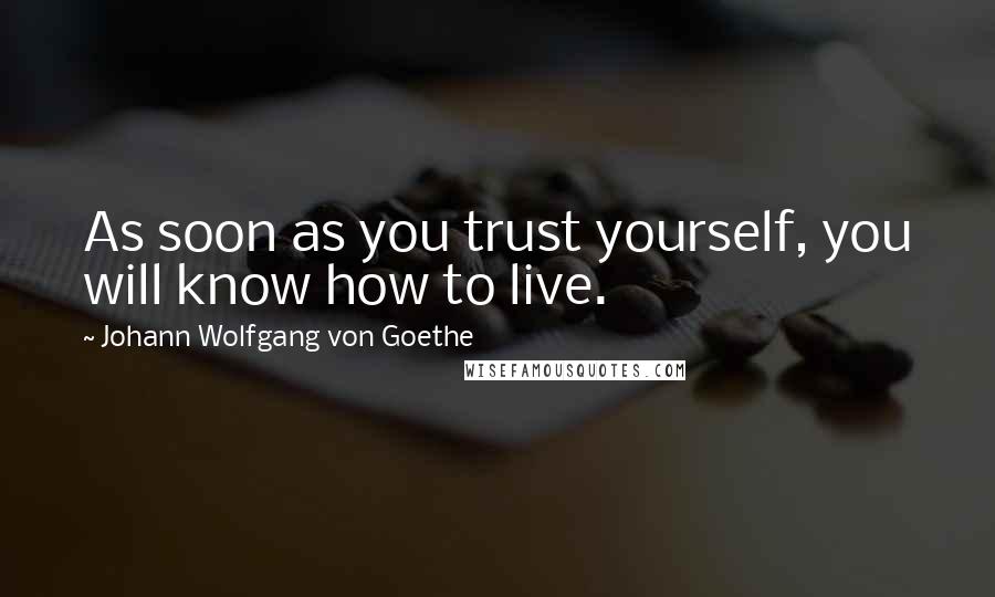 Johann Wolfgang Von Goethe Quotes: As soon as you trust yourself, you will know how to live.