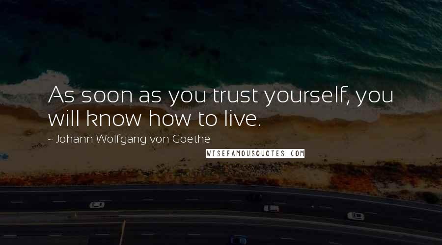 Johann Wolfgang Von Goethe Quotes: As soon as you trust yourself, you will know how to live.