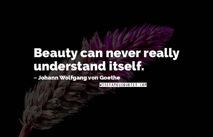 Johann Wolfgang Von Goethe Quotes: Beauty can never really understand itself.